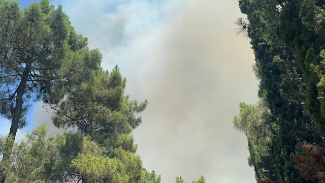 Aydos Ormanı'nda Yangın